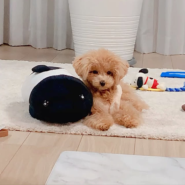 manaさんの実例写真