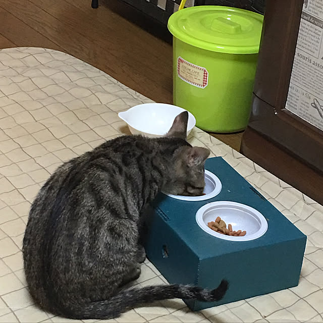 kmakkyiさんの実例写真