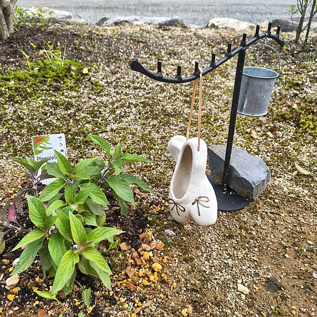 Rubiconさんの部屋