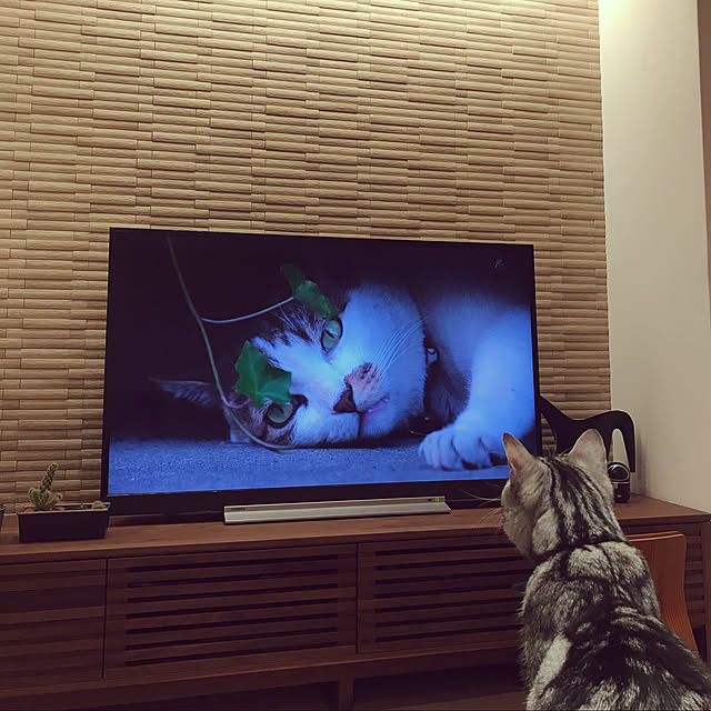 mkmkmoominさんの実例写真