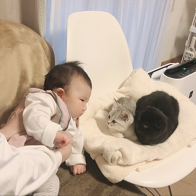 yukiさんの実例写真