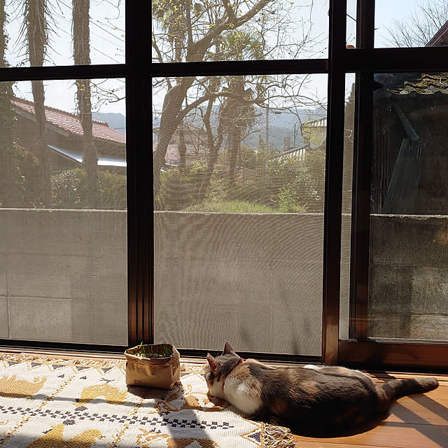 fukuさんの実例写真