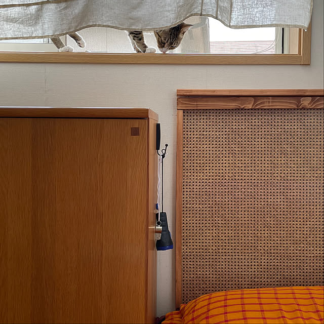 nobikoさんの部屋
