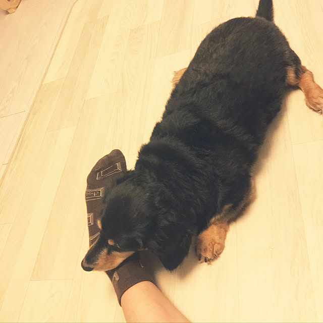 ohanaさんの実例写真
