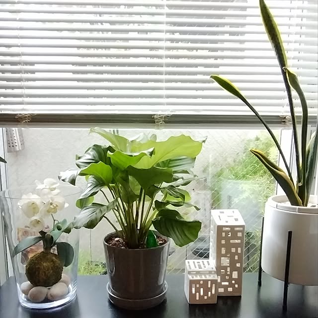 jinさんの部屋