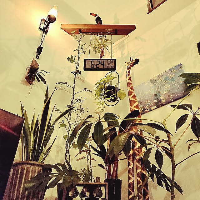 rimoleoさんの実例写真