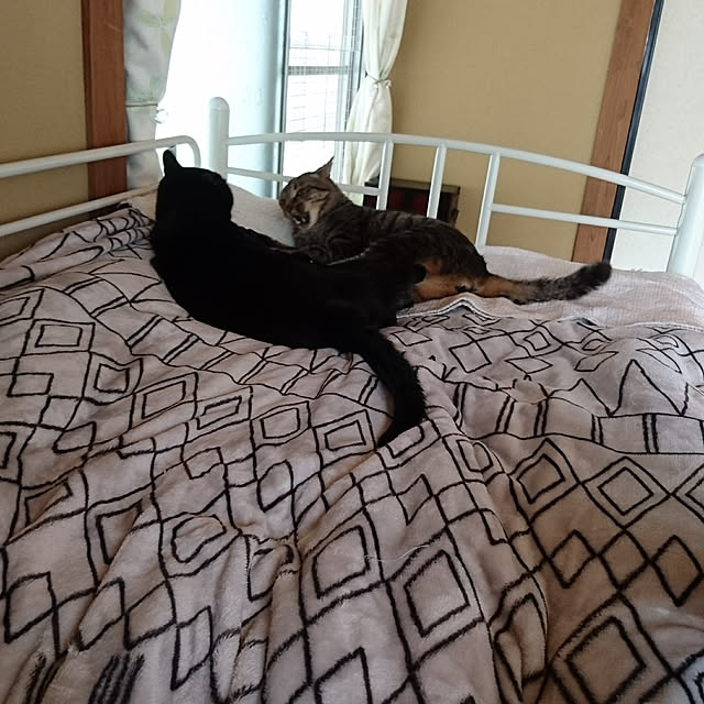 taleo07さんの実例写真