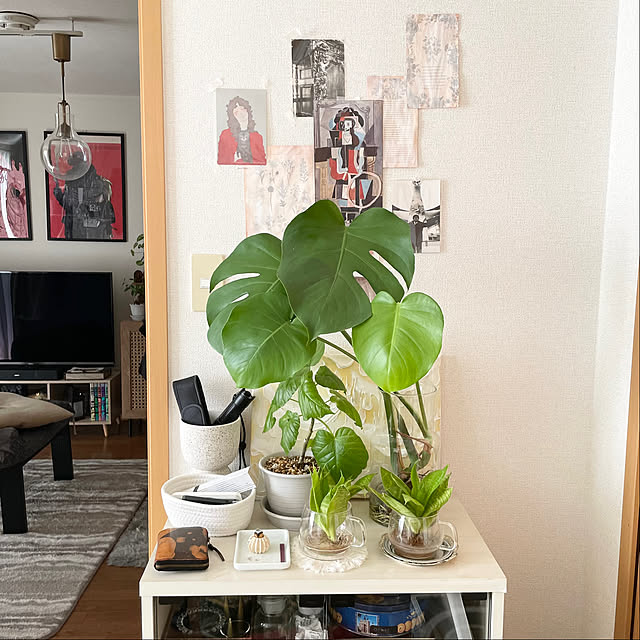 棚/模様替え/すきなもの/おたく部屋/植物のある暮らし...などのインテリア実例 - 2024-12-10 11:13:30