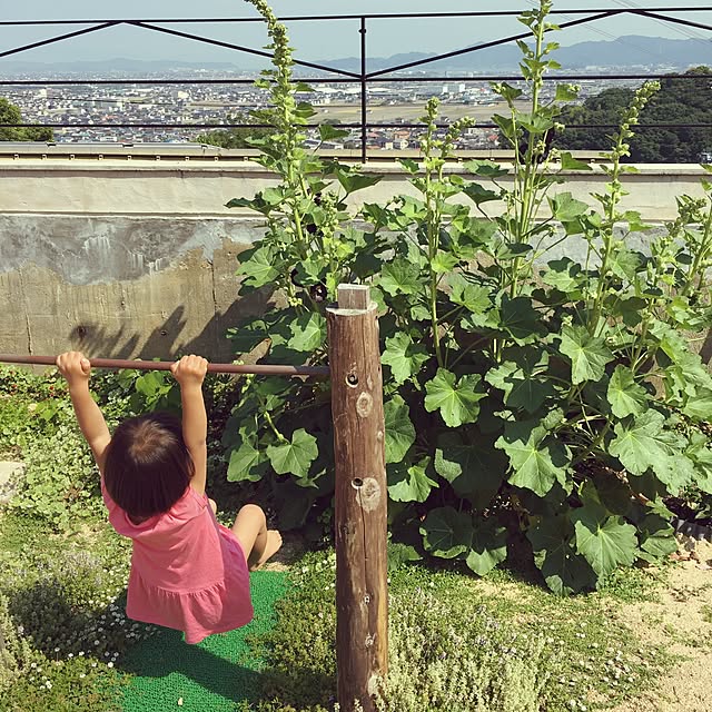 ulalaさんの実例写真