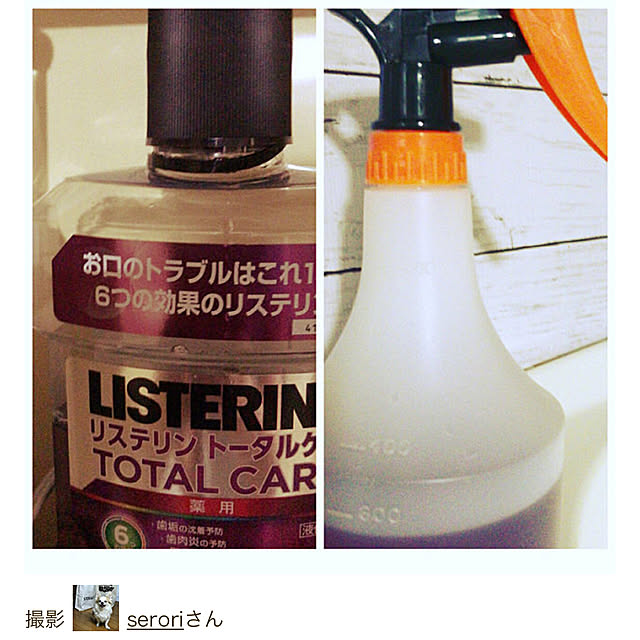 seroriさんの実例写真
