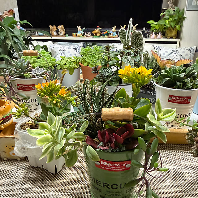 Aqettyさんの部屋