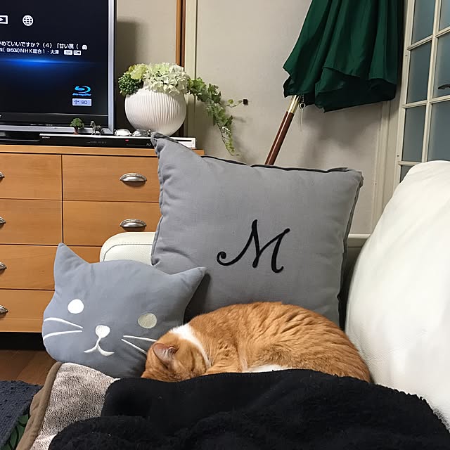 nyanko-beamさんの実例写真