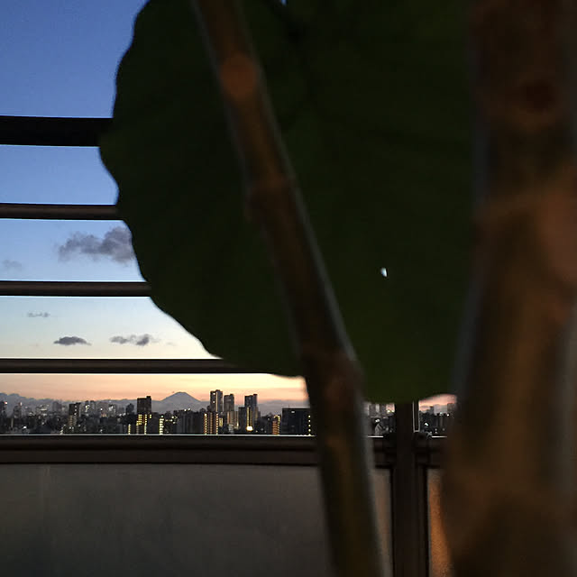 HKSさんの実例写真