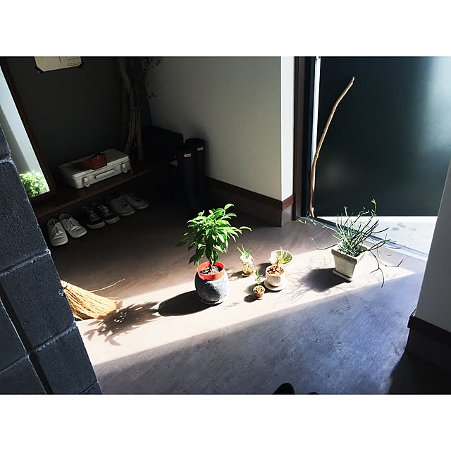 umaimesikuitaiさんの実例写真