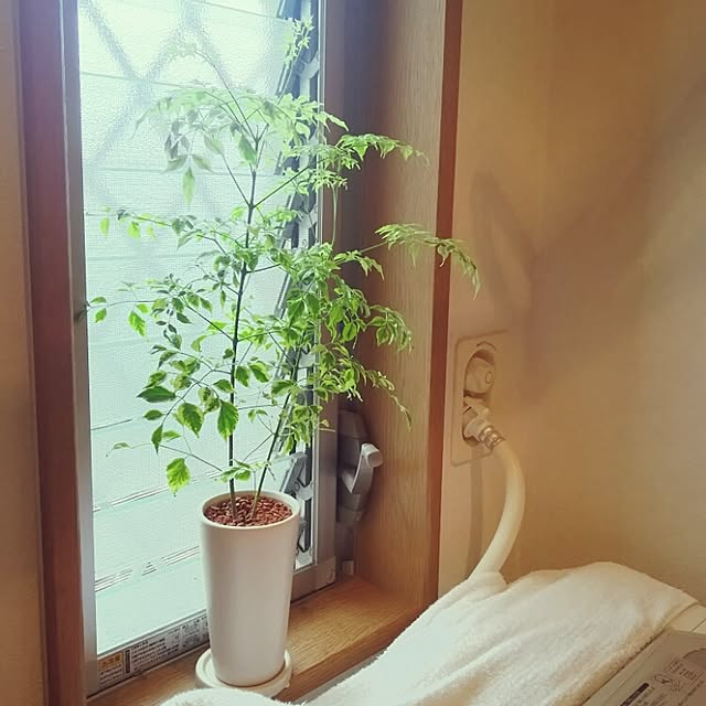 Yumikoさんの実例写真