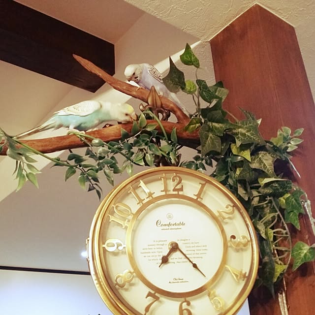 Ryuukouさんの実例写真