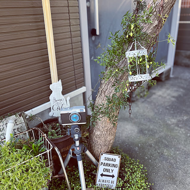 mayumiさんの部屋