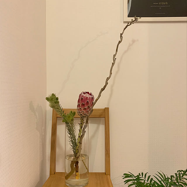 yamacoさんの実例写真