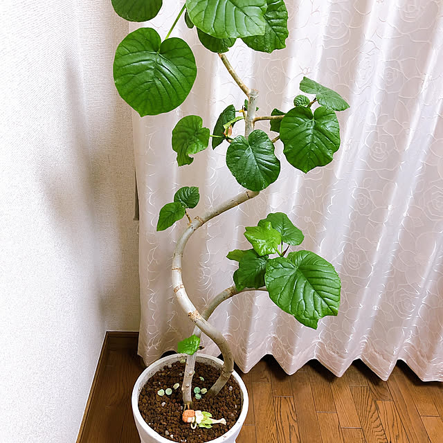 mkさんの実例写真
