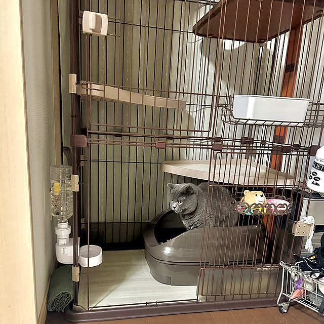 kittyさんの部屋