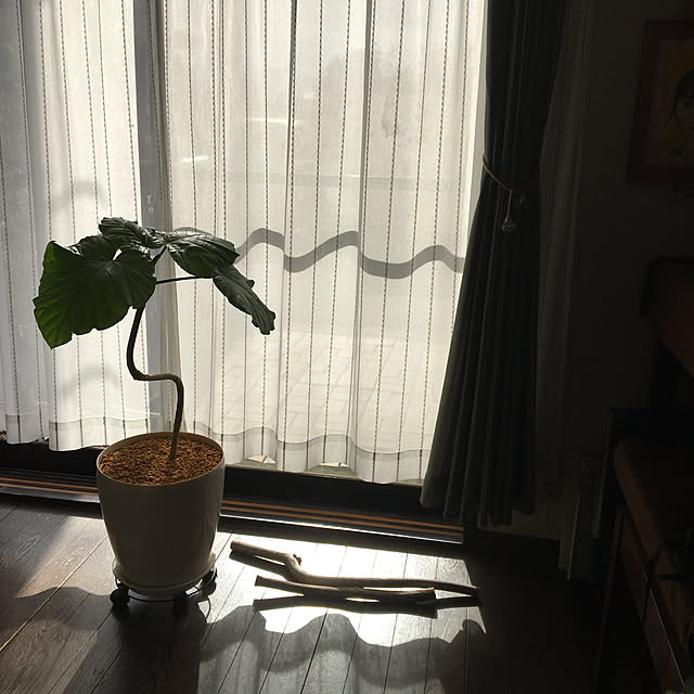 mamaさんの実例写真