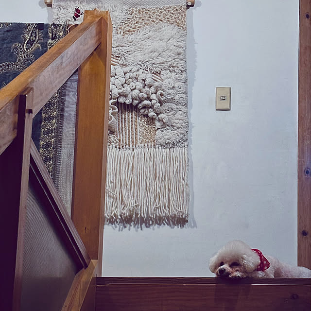 chacoさんの部屋