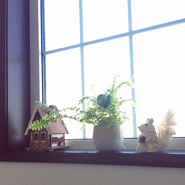 menegazzeukさんの実例写真