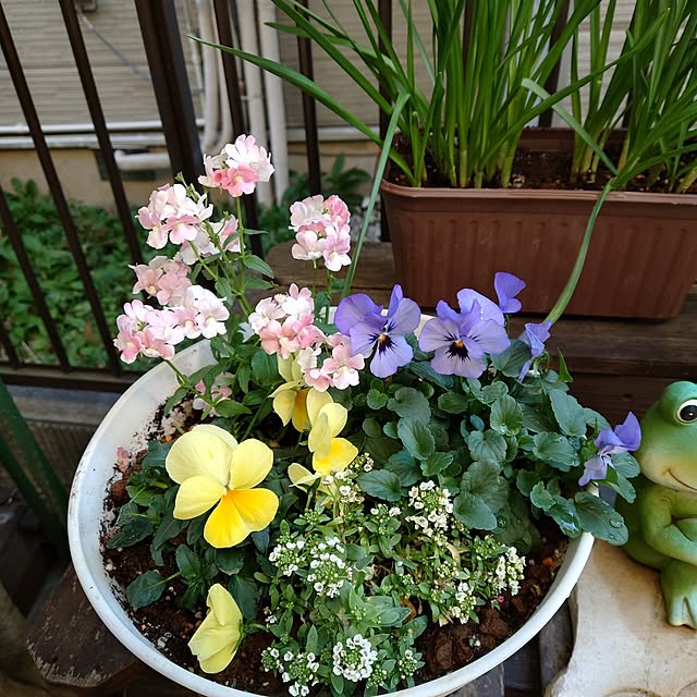 kuri-panchiさんの部屋