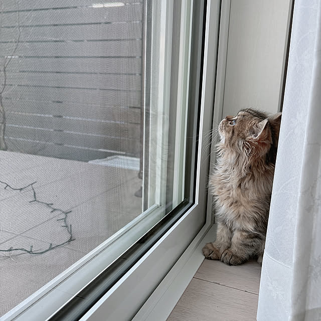 miyu39さんの部屋