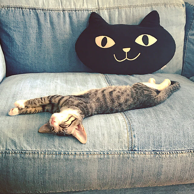blackcatさんの実例写真