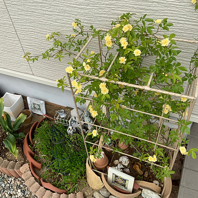 chiiyanさんの部屋