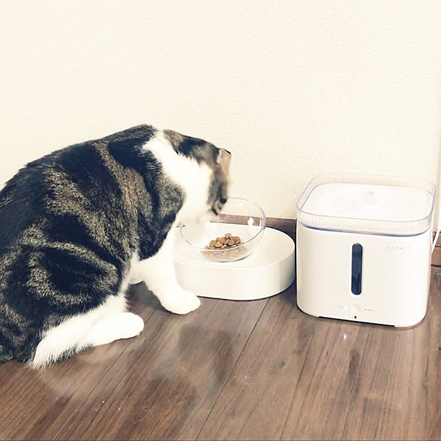 tansukeさんの実例写真