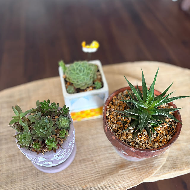 ritsukoさんの部屋