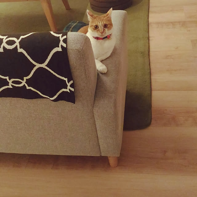 Yさんの実例写真