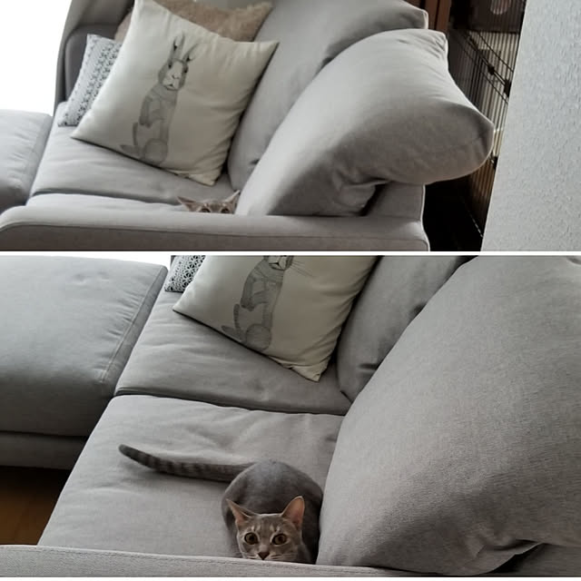 yukiさんの実例写真