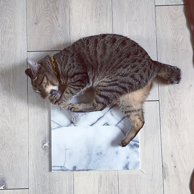 Mさんの実例写真