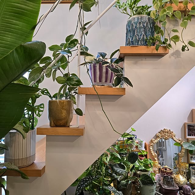 nonbiri_house_さんの実例写真