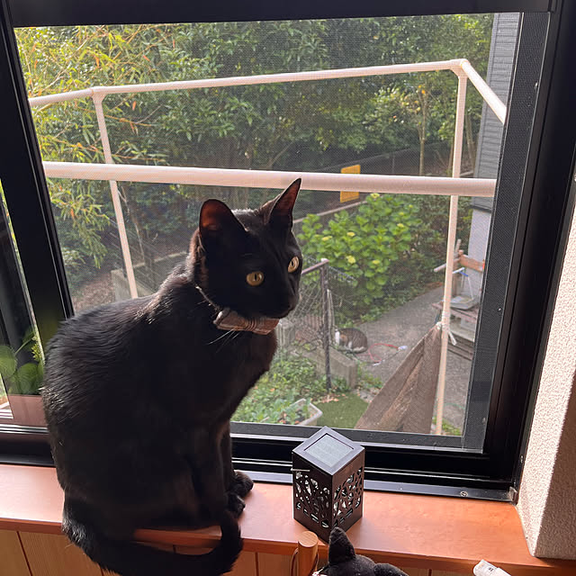 jijiさんの実例写真