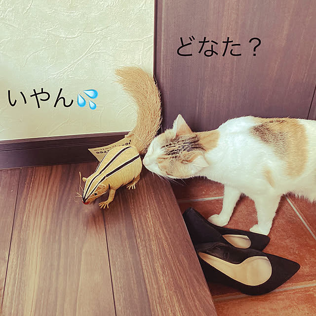 jill_lowさんの実例写真