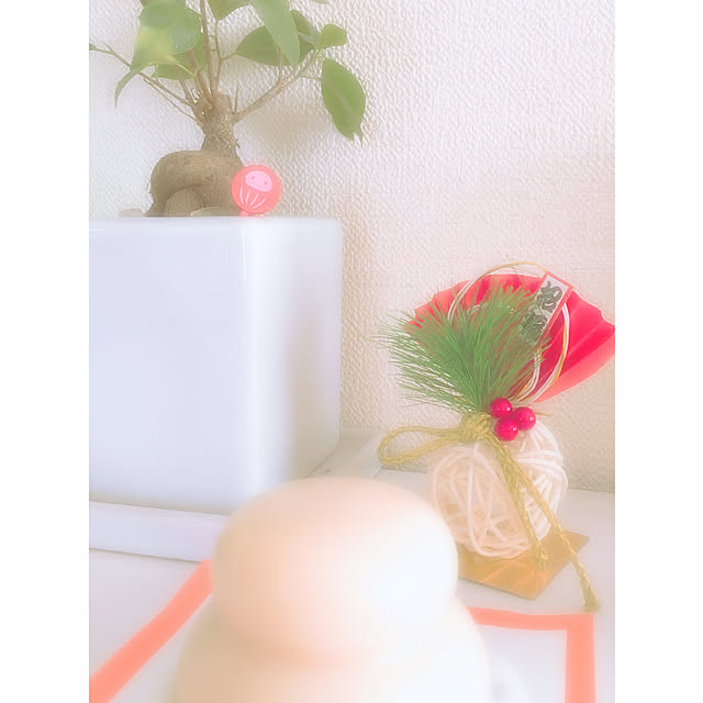 Rさんの実例写真