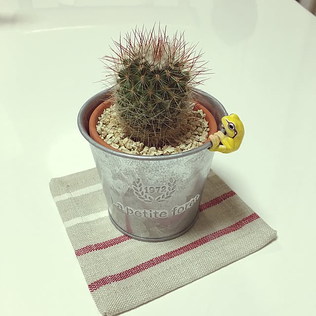 nana..さんの実例写真