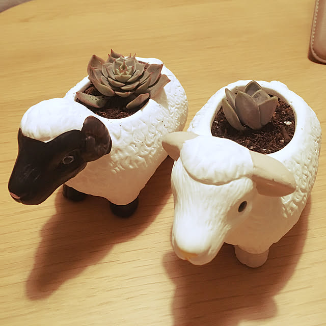 whale1121さんの実例写真