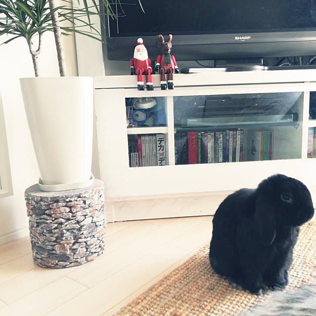 coco.Apartmanさんの実例写真