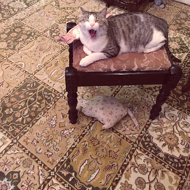 emmyyさんの実例写真