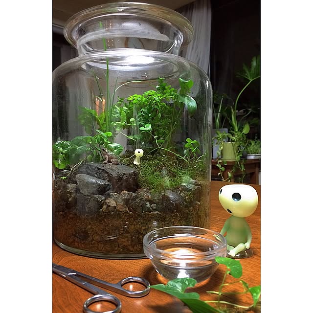 mini32bickyさんの実例写真
