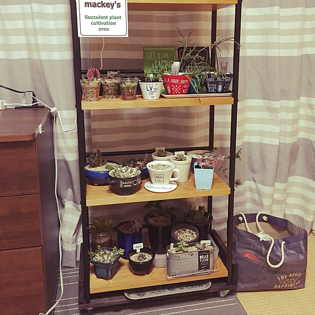 -Mackey-さんの実例写真