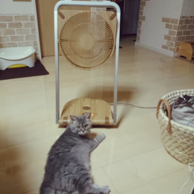 yumiさんの実例写真