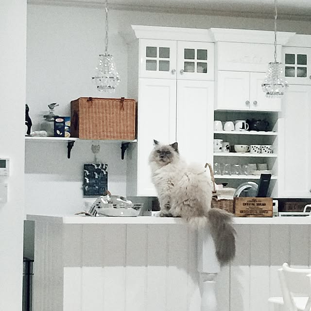 yuchiさんの実例写真