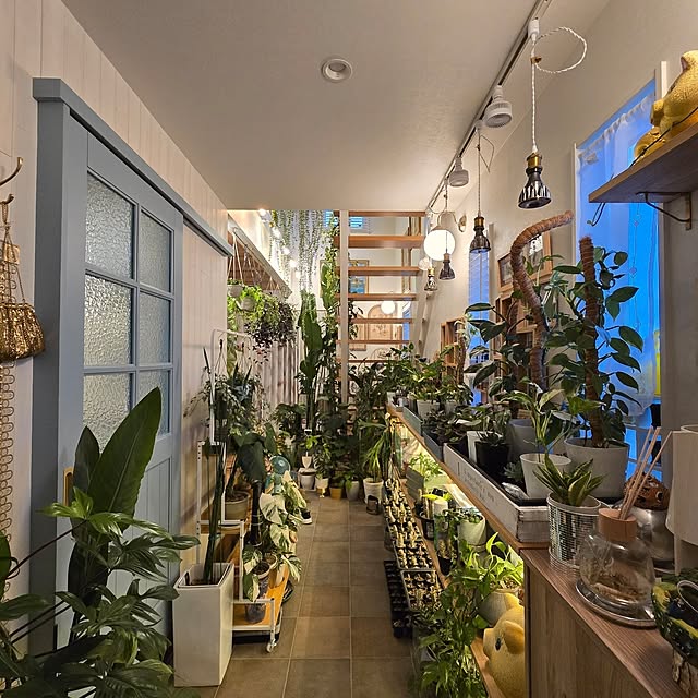 nonbiri_house_さんの部屋