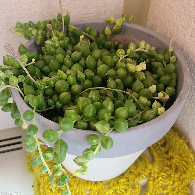 monnさんの部屋